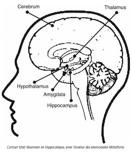 2021-09-26 13_17_34-Günters Kindle für PC 6 – Geist über Materie_ Die erstaunliche Wissenschaft, wie